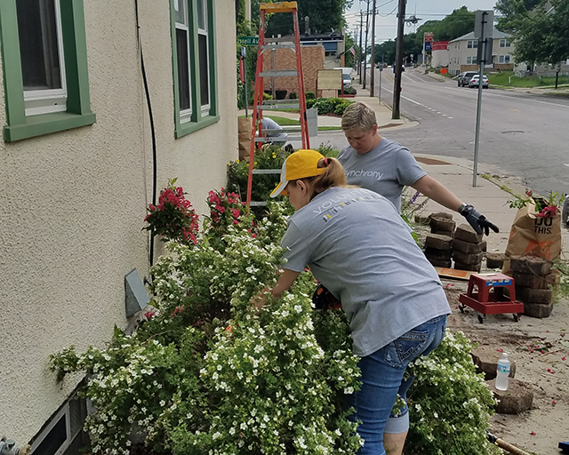 Volunteers organizing bunches of plants near a home